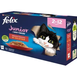 Purina Felix Multipack Le Ghiottonerie Junior (12 x 85gr)