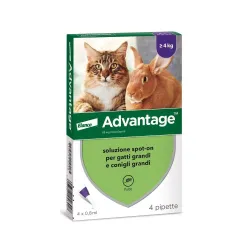 Elanco Advantage 80mg Spot-On per Gatti e Conigli grandi - peso pari o superiore a 4Kg (confezione da 4 pipette)