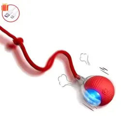 Pallina Rotante con Coda